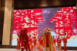 2022江苏小猪视频免费观看视频下载新年晚会